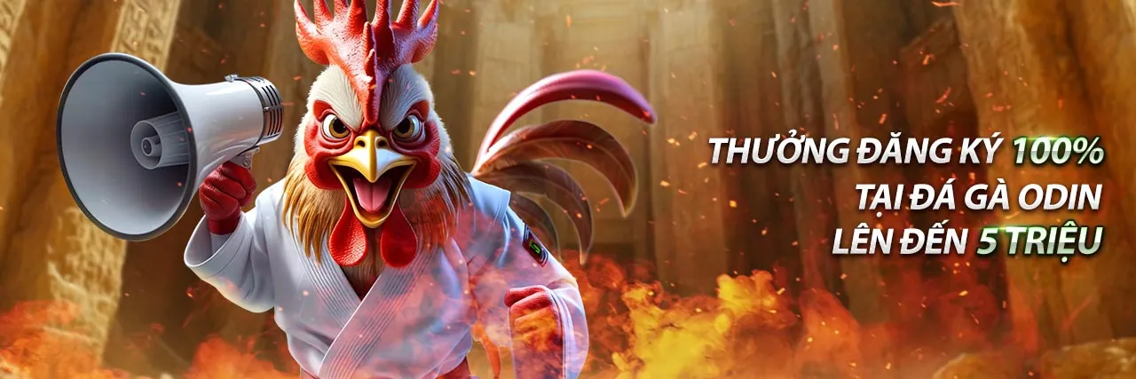 Đá gà trực tuyến sôi động tại Kingbet